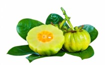 Harness the Power of Garcinia Cambogia for Effective Weight Loss