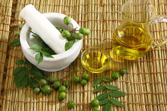 NEEM SEED OIL