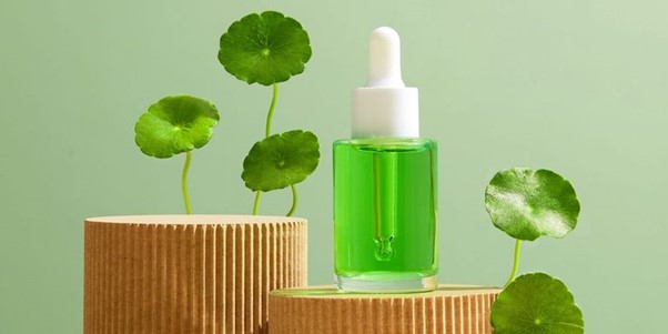Centella Asiatica: The Green Miracle for Modern Skincare
