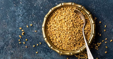 Exploring the Benefits of Indian Fenugreek for the Food Industry.